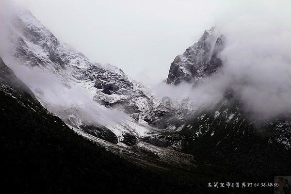 饥饿的松鼠救援